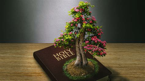 11 Trees In The Bible And Their Meaning Pdf Mitchtayenn