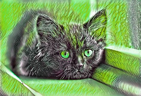 Super Cool Black Cat Green Eyes Digital Art By Don Northup Fine Art
