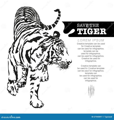 Save The Tiger Tiger Walking Stock Vector Illustration Of Fear