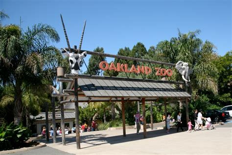 The Oakland Zoo For Families With A Break Even Calculation On The Cost