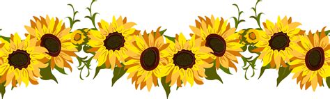 Sunflower Border Flowers 23265626 Png