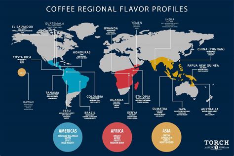 Coffee Region Flavour Profiles Part 1 Best Coffee Beans