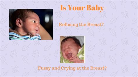Is Your Baby Refusing To Breastfeed Part 2 Youtube