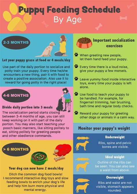 Check spelling or type a new query. puppy feeding chart by age, puppy feeding schedule, how ...