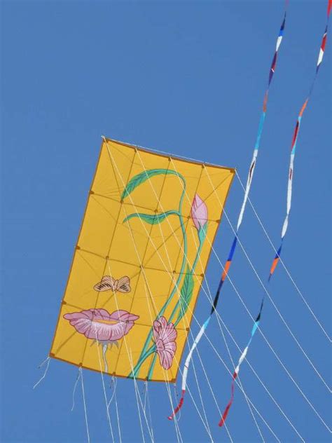 Bowed Kite Aka American Kitefliers Association