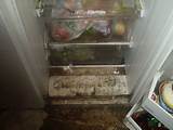 Cleaning Mold Out Of Refrigerator Images