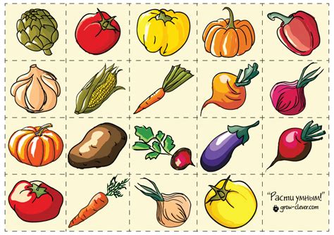 Карточки Картинки Овощей Фруктов Telegraph