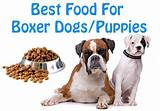 What Can Bo Er Dogs Eat Images