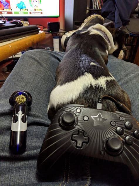 Quitting weed because of anxiety reddit. r/trees - Perfect ending to a stressful day. | Stress, Perfection, Gaming products