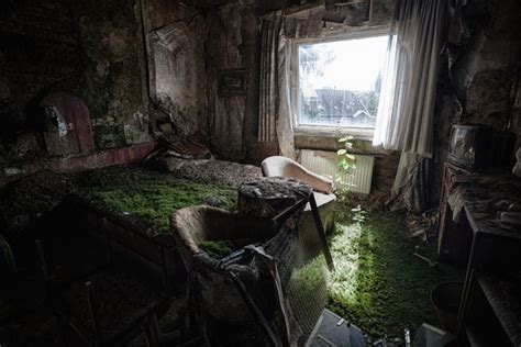 In A Bed Of Grass Room In A Burned Out And Abandoned Hotel Near