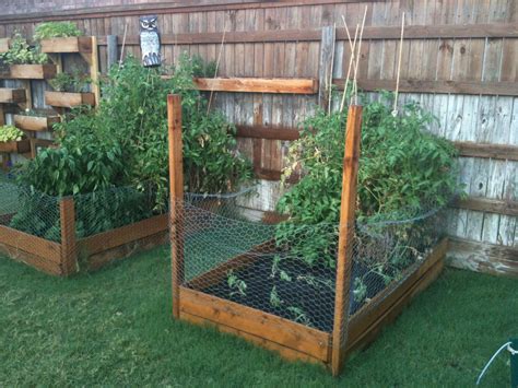 You can buy dried blood and fox. Keeping Rabbits Out Of Raised Garden Beds | Fasci Garden