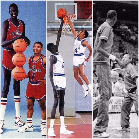 Altura Do Maior Jogador De Basquete