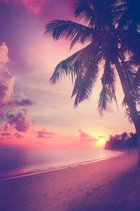 Beautiful Tropical Beach With Silhouettes Of Palm Trees At