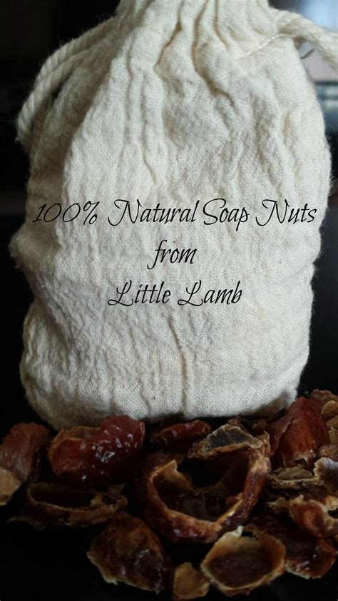 These are nut husks (sapindus spp.) coated in saponin, a natural soap. 100% Natural Soap Nuts and Wool Dryer Balls from Little ...