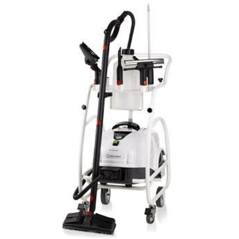 Not only does this expose the mattress to. Bed Bug Killing Steam Cleaner