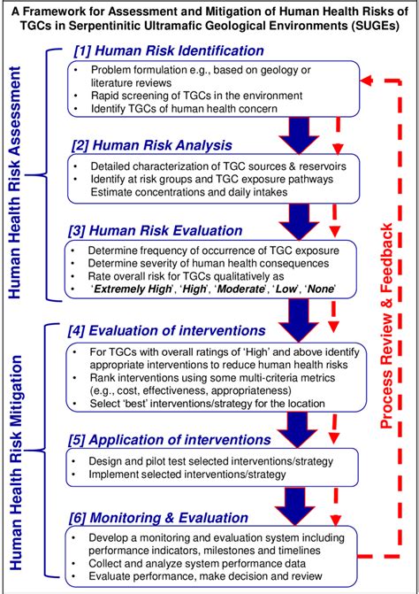 A Summary Conceptual Framework For Human Health Risk Assessment And