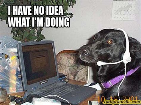 Tech Support I Have No Idea What Im Doing Funny Dog Memes Dogs