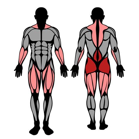 How To Deadlift Technique Training And Gaining Strengthlog