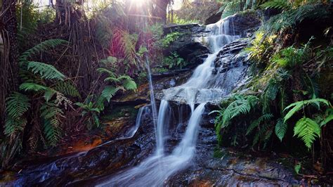 Katoomba Waterfall Foto And Bild Australia And Oceania Australia New