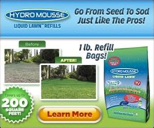 If you are looking to fit installing sod into your budget, you can do sodding yourself. Hydro Mousse Liquid Lawn Spray on Grass Seed