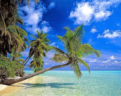 Check spelling or type a new query. All About HD Wallpaper: 3D Wallpaper Widescreen High ...