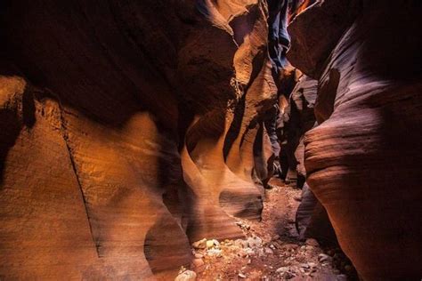 Gorgeous canyon whose stone walls shimmer with hundreds of different shades of pink and red: Tripadvisor | Private Buckskin Gulch Tour provided by ...