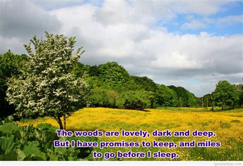 Amazing HD nature wallpaper with quote