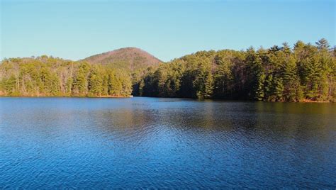 Quiet Peaceful Forest Lake Free Image Download