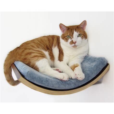 Below i'll cover the best cat shelves and wall perches that i've found. Curve 5" Curve Wall Mounted Cat Perch | Wayfair.ca