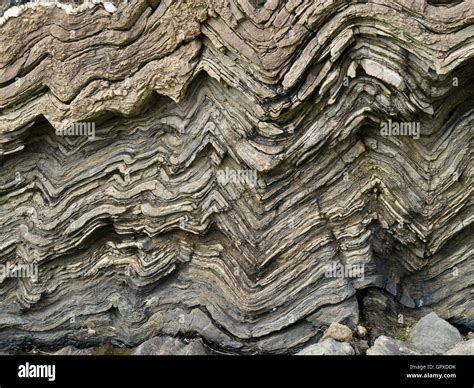Folded Crumpled Layers Of Sedimentary Rock Strata In Rocky Cliff