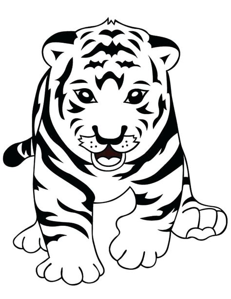 Baby White Tiger Drawing At Getdrawings Free Download