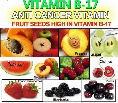 Vitamin b complex foods and fruits. Vitamin B 17 in seeds and fruit On CureZone Image Gallery