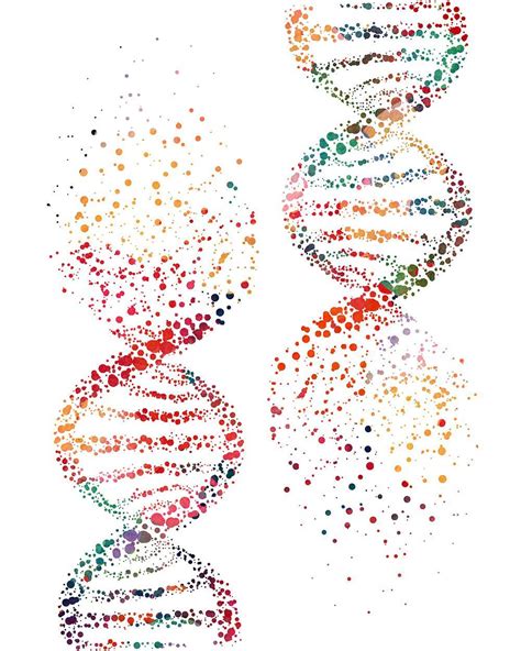 Dna Double Helix Genetic Watercolor Print Dna Illustration Abstract