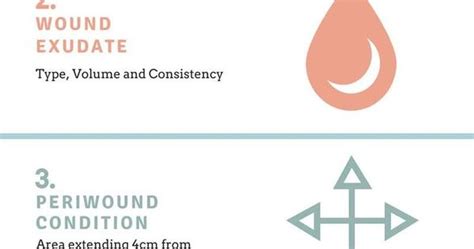 Ausmeds Wound Care And Wound Healing Guide For Nurses Infographic