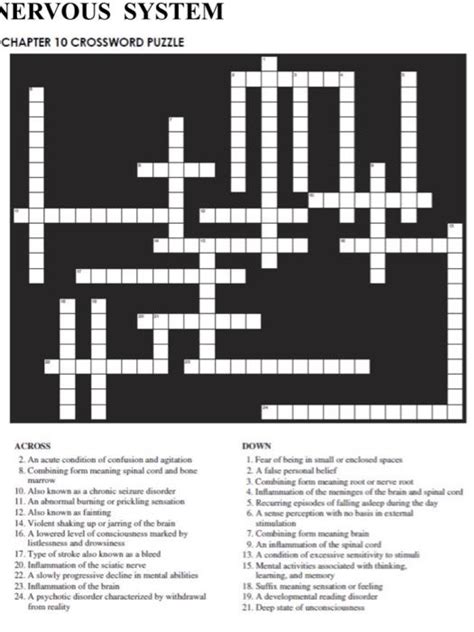 Solved Nervous System Chapter 10 Crossword Puzzle Across