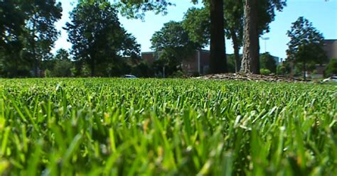 How To Handle Your Dry Lawn Cbs Minnesota