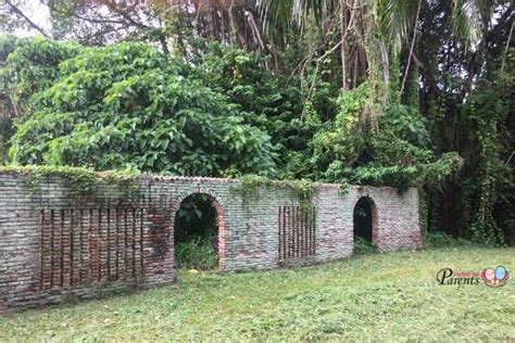 An outside restaurant where drinks and small meals are served 2. Ridout Tea Garden Singapore (Former Queenstown Japanese ...