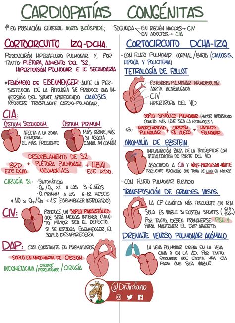 Cardiopatías Congénitas Dr Jirofano Fb Enfermería Obstetricia