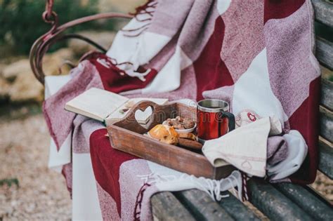 Cozy Autumn Picnic With Tea And Cookies Stock Photo Image Of Swing