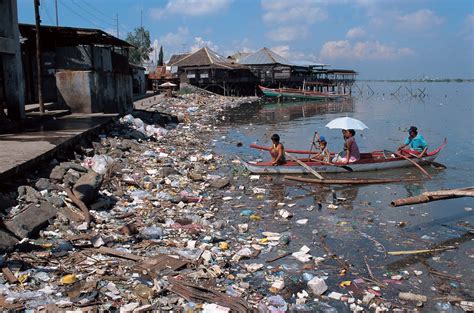 Chemical, microbial, physical, and allergenic. F@NT@STIC 4......: POLLUTION