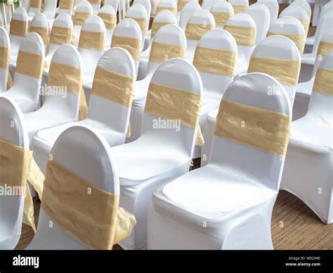 Rows Of Beautiful White And Clean Wedding Chairs Decorated With Gold