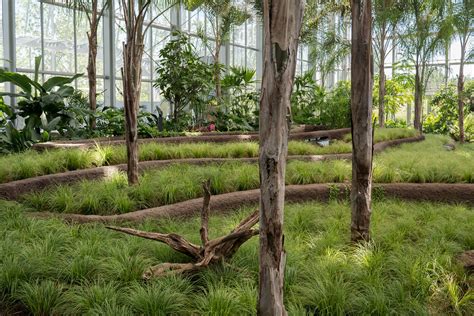 Workshop im balinesischen garten des erholungsparkes marzahn. Berlin, IGA 2017, Balinesischer Garten: Reisterrassen - Ri ...