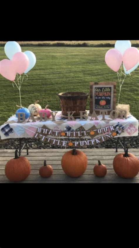 Fall Gender Reveal Fall Gender Reveal Gender Reveal Table Decorations