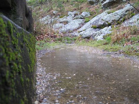 Pathway Near The Dam Cave Mountain Lake National Park Virginia