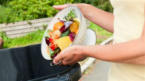 What type of papers should be not be composted? My Fellow Americans: We Waste Way Too Much Food