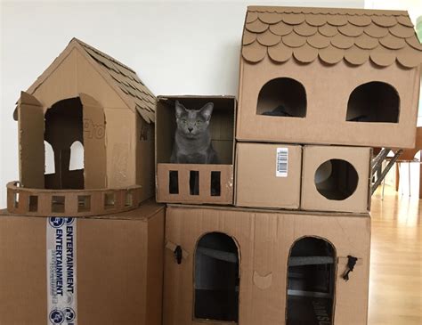 How To Make A Cat House Out Of Cardboard Boxes