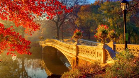 Central Parks Bow Bridge In Autumn Man Made Bridge Bridges Bow Bridge