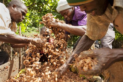 Promote sustained, inclusive and sustainable economic growth, full and productive employment and decent work for all. 10 manieren waarop Fairtrade bijdraagt aan de Sustainable ...
