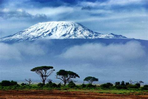 From Arusha Mount Kilimanjaro Day Trip Hike Getyourguide