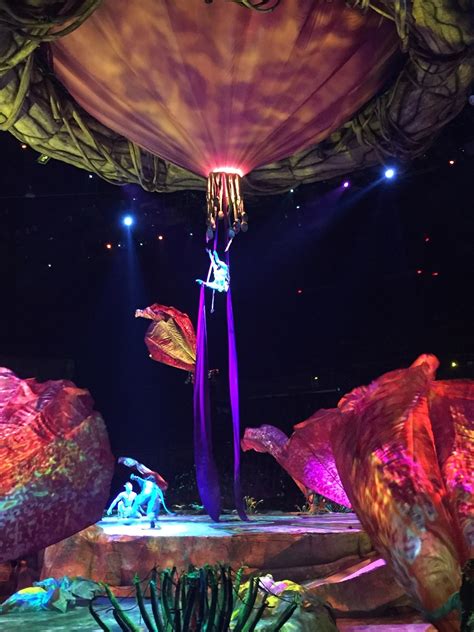 Cirque Du Soleil Kurios Review Powered By Mom